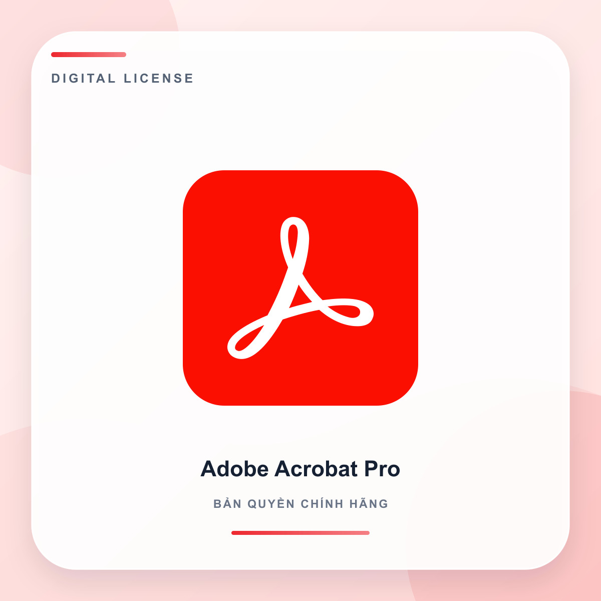 Acrobat Pro DC (1 năm)