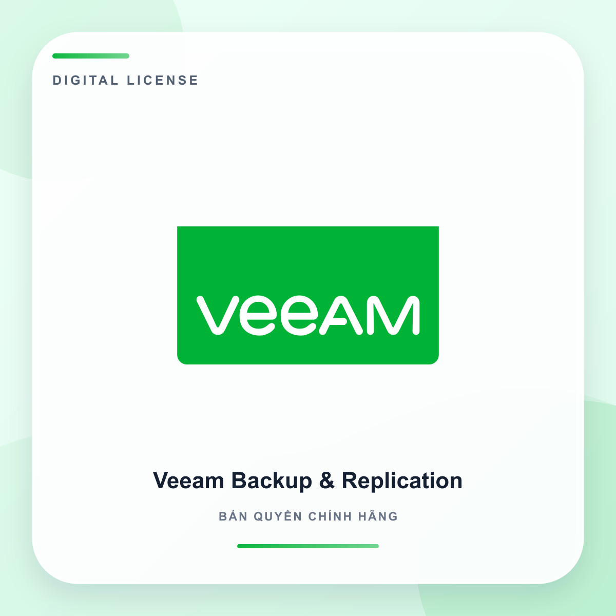 Veeam Backup & Replication (dự án)